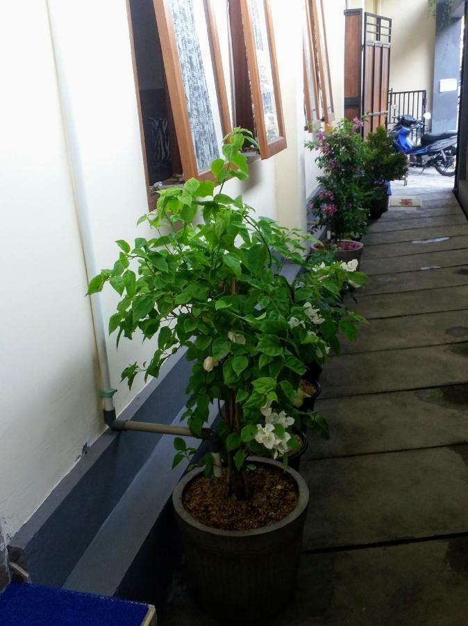 Wisma tamu Rumah Senang Sanur (Bali)